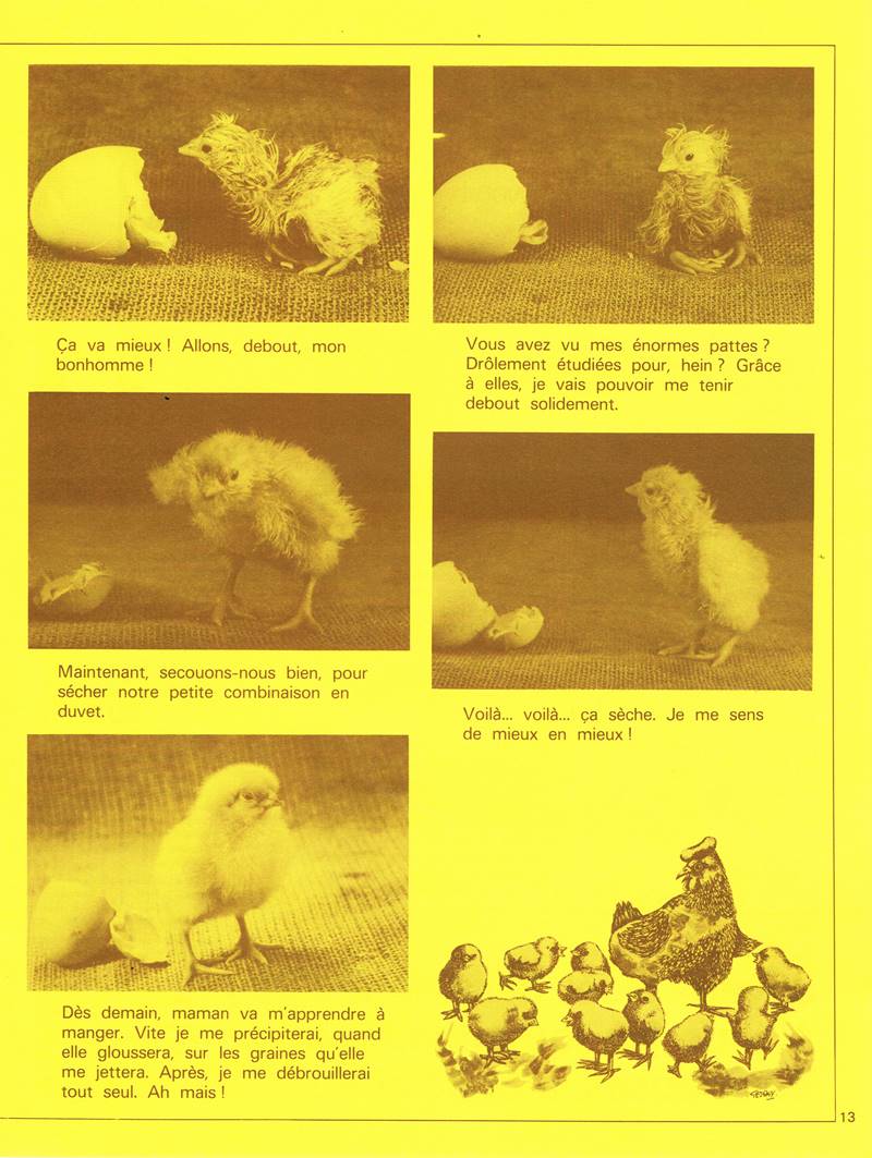 Castoret E81 déc 1979 Page 7