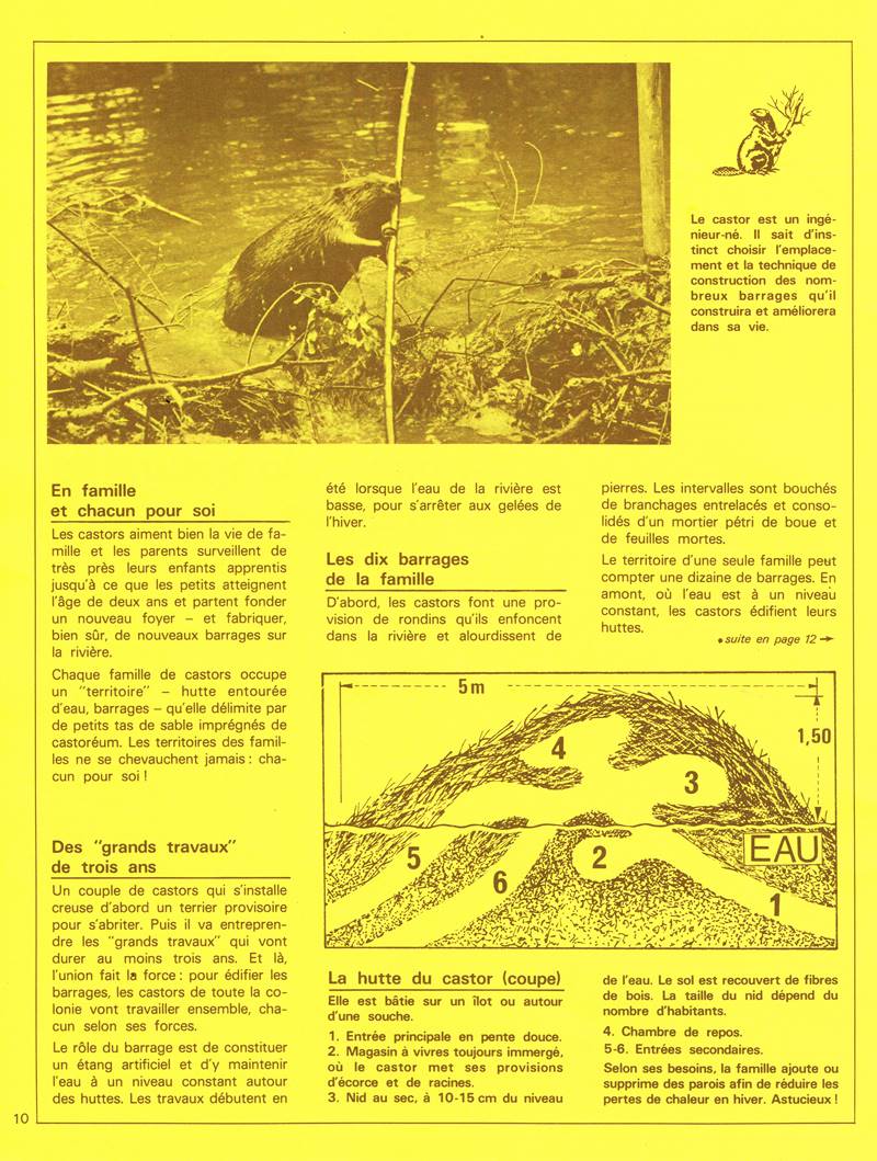 Castoret E84 jun jui 1980 Page 2