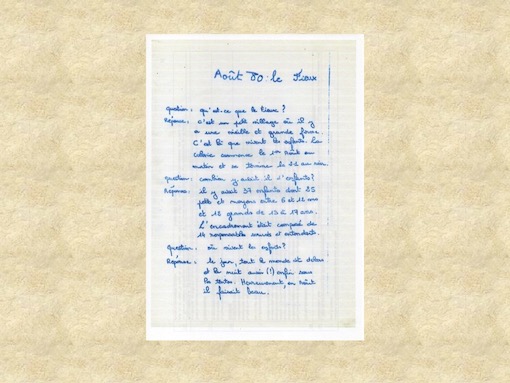 LE FIEUX 65